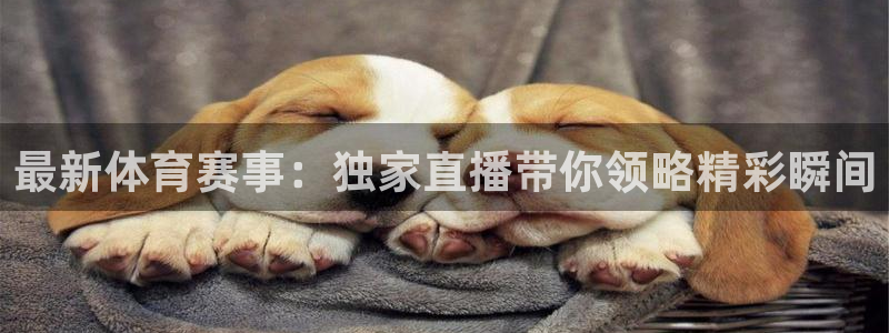 龙门直播app足球直播：最新体育赛事：独家直播带你领略精彩瞬间
