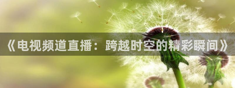 下载龙门体育直播：《电视频道直播：跨越时空的精彩瞬间》