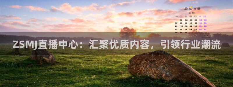 nba龙门直播：ZSMJ直播中心：汇聚优质内容，引领行业潮流