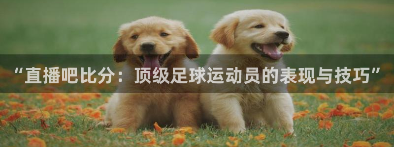 龙门直播官网：“直播吧比分：顶级足球运动员的表现与技巧”