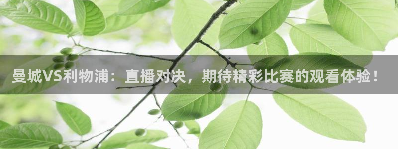 龙门镖局超清在线观看：曼城VS利物浦：直播对决，期待精彩比赛的观看体验！