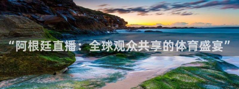 龙门直播间：“阿根廷直播：全球观众共享的体育盛宴”