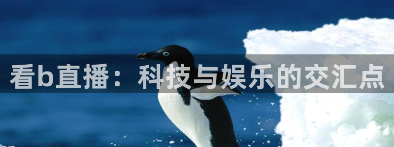 nba直播龙门：看b直播：科技与娱乐的交汇点