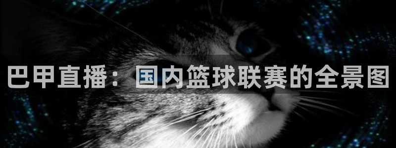龙门在线直播nba：巴甲直播：国内篮球联赛的全景图