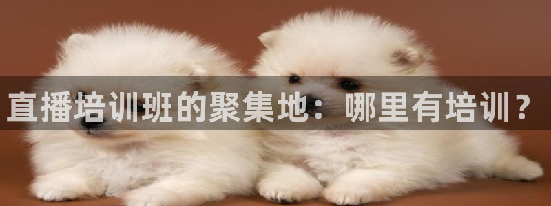 龙门nba免费直播：直播培训班的聚集地：哪里有培训？