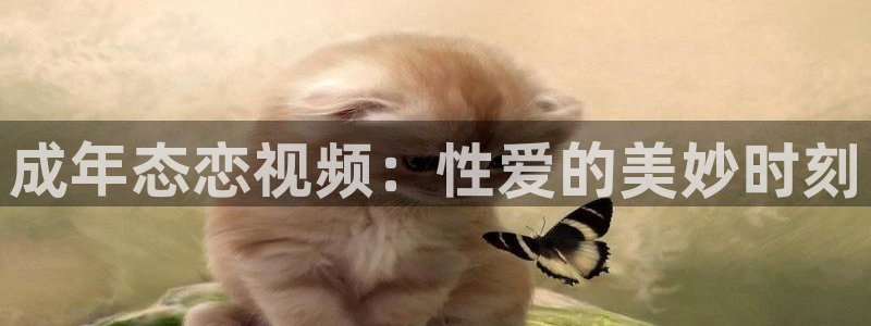 龙门直播体育免费观看：成年态恋视频：性爱的美妙时刻