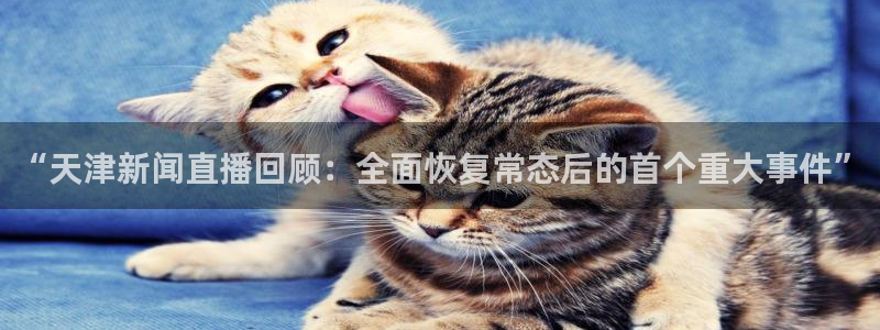 龙门直播app足球直播下载：“天津新闻直播回顾：全面恢复常态后的首个重大事件”